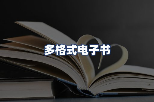 多格式电子书